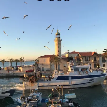 アパート Les Terrasses De L'espiguette ル・グロー・デュ・ロワ