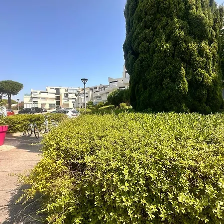 Les Terrasses De L'espiguette - Renove Terrasse A Pied Apartament *